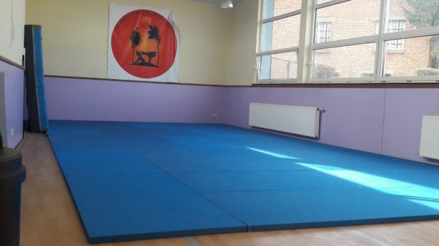 <p>La salle dispose d’une vingtaine de tatamis, dimension de 12,43 m * 6,02 m </p>
